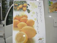 青山ファーマーズマーケットでキッチンカーレンタル